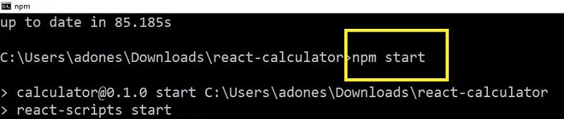 npm start